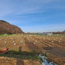 보훈농장 이미지