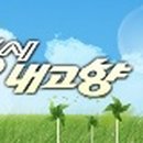 옥이네한우소머리국밥 이미지