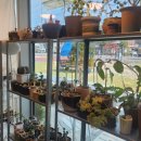 아오미가든
