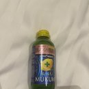 알라유통 | 삿포로 시내 투어💛 스아게 스프카레 / 동구리빵집/크리스마스마켓/ 삿포로티비타워/돈베이 카이센동