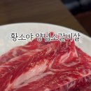 심석진의 황소야 네이버블로그