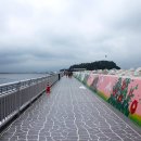 한국의 아름다운 길 100선 中 (#45 여수 오동도 방파제 길) 이미지