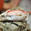 송림 회 식당 Daum카페