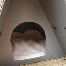 고양이집:고집 이미지