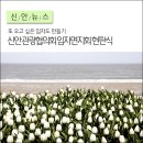 신안군관광협의회임자면지회