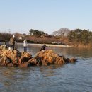 섬섬하우스 이미지