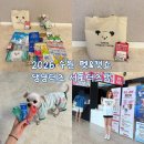 빡빡이과일 | 2026 수원 펫&캣쇼 댕냥터즈 서포터즈백 언박싱 & 서포터즈 후기