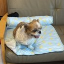 숨 펜션 네이버블로그