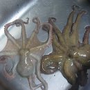 호호게스트 이미지