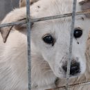 난대경로당 이미지