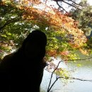 지리산 단풍비 Daum카페