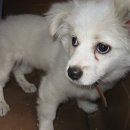 영림축산 이미지