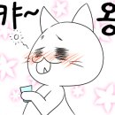 청솔이발관 네이버블로그