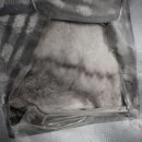 속초삼성동물메디컬센터 이미지