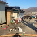 새로이동물병원 이미지