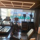 에스투짐 이미지