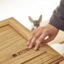 플러스미 이미지