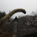 말라위사우루스 이미지