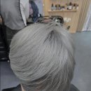 진주미용실 - 147842 | 진주미용실