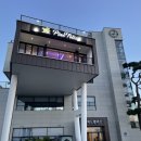 피노펠리즈 이미지