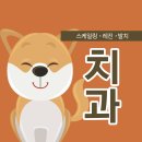 24시 강서 젠틀리동물의료센터 이미지