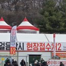 좌우측 | 2025 화천 산천어축제 후기 (feat. 주차 어렵다)