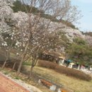 순흥농원 이미지