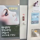 뮤리에르네일
