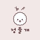정들개 네이버블로그