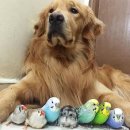 옹기종기 이미지