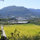 계전2리 이미지