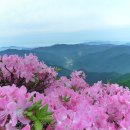 [태백]국립공원 승격 태백산 관광객 북적 이미지