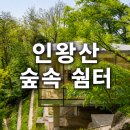숲속쉼터 티스토리