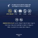 청정이원 | 화담숲반딧불이축제 예약 방법 및 명당 후기 총정리
