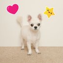 오늘은