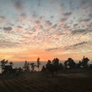 펜션 ing 이미지