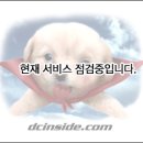 왈본인들이 김연아 방해하는 영어판 동영상 댓글들2 이미지
