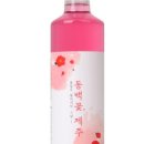 제주본초협동조합 이미지