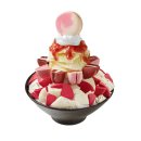 설빙충북