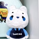 극세사 봉제인형 키링 제작 후기