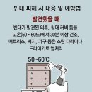 그냥 심심해서요. (25303) 빈대 나온 옷은 30분 고온 건조 이미지