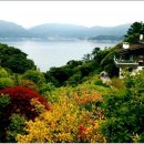 거제자연휴양림 이미지