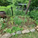 양평 민하우스 펜션 이미지