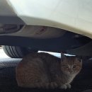 선산마음약국 | 2/20까지 (코스트코,오디너리히어로즈,배떡 로제떡볶이,원조선산곱창,스타벅스,코로나 코로나자가진단키트)