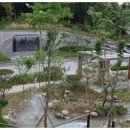 동탄국제고등학교 이미지