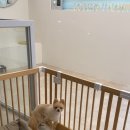 꽃남아 사랑해 이미지