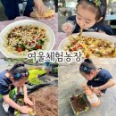 강정보여울협동조합 | 대구 강정보 여울 체험농장, 어린이 피자 만들기 및 모종심기 (23년 대구도농상생 저렴한 체험!)
