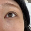 아덴샵 | 강남속눈썹 LED속눈썹연장 선릉 아덴뷰티 솔직후기