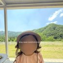 다온목장 | 포천 사르르목장｜네살 아이랑 가기 좋은 카페 추천