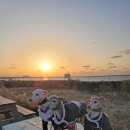 윤정공방